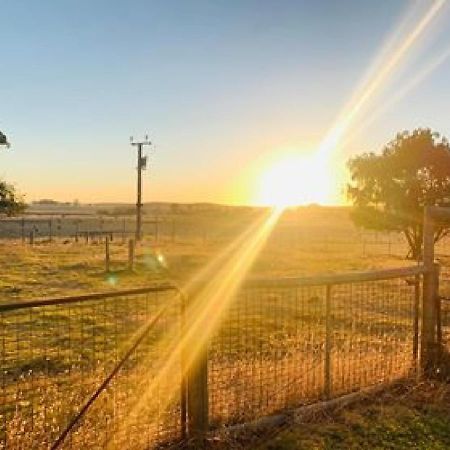 Pleasant Hill Bnb Mount Gambier Buitenkant foto